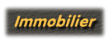 Immobilier