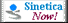 Sinetica group